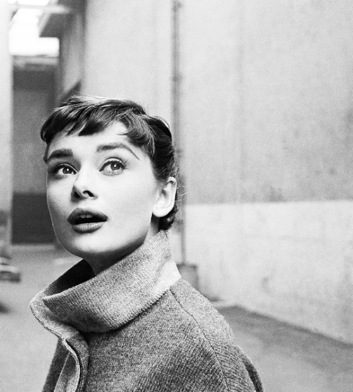 Audrey Hepburn 