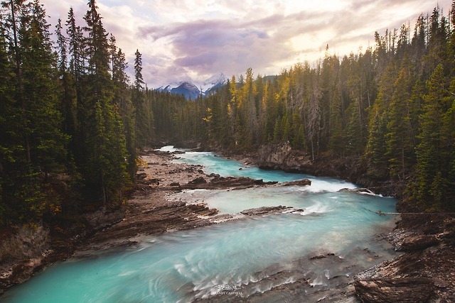 Stunning turquoise river beneath a glorious sunset... - woodland beauty