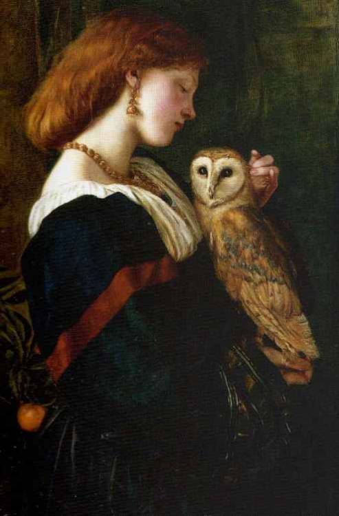 hellfreeway:“The Owl” by Valentine Cameron Prinsep, 1863