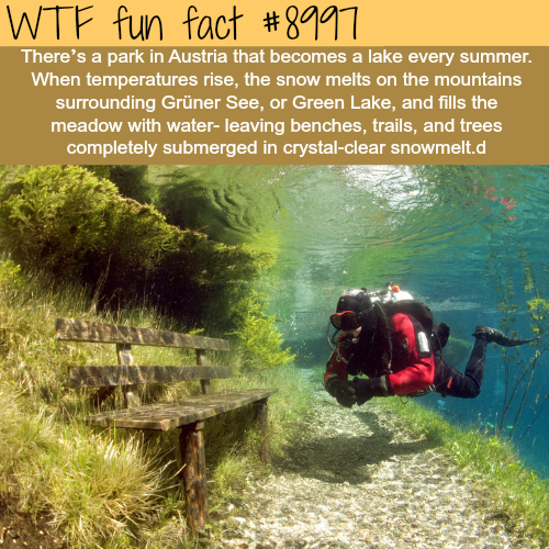 wtf-fun-factss:This park turns into a lake every summer - WTF...