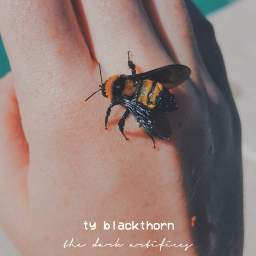 kittrook:the dark artifices - ty blackthorn❝ Kit slid out of...