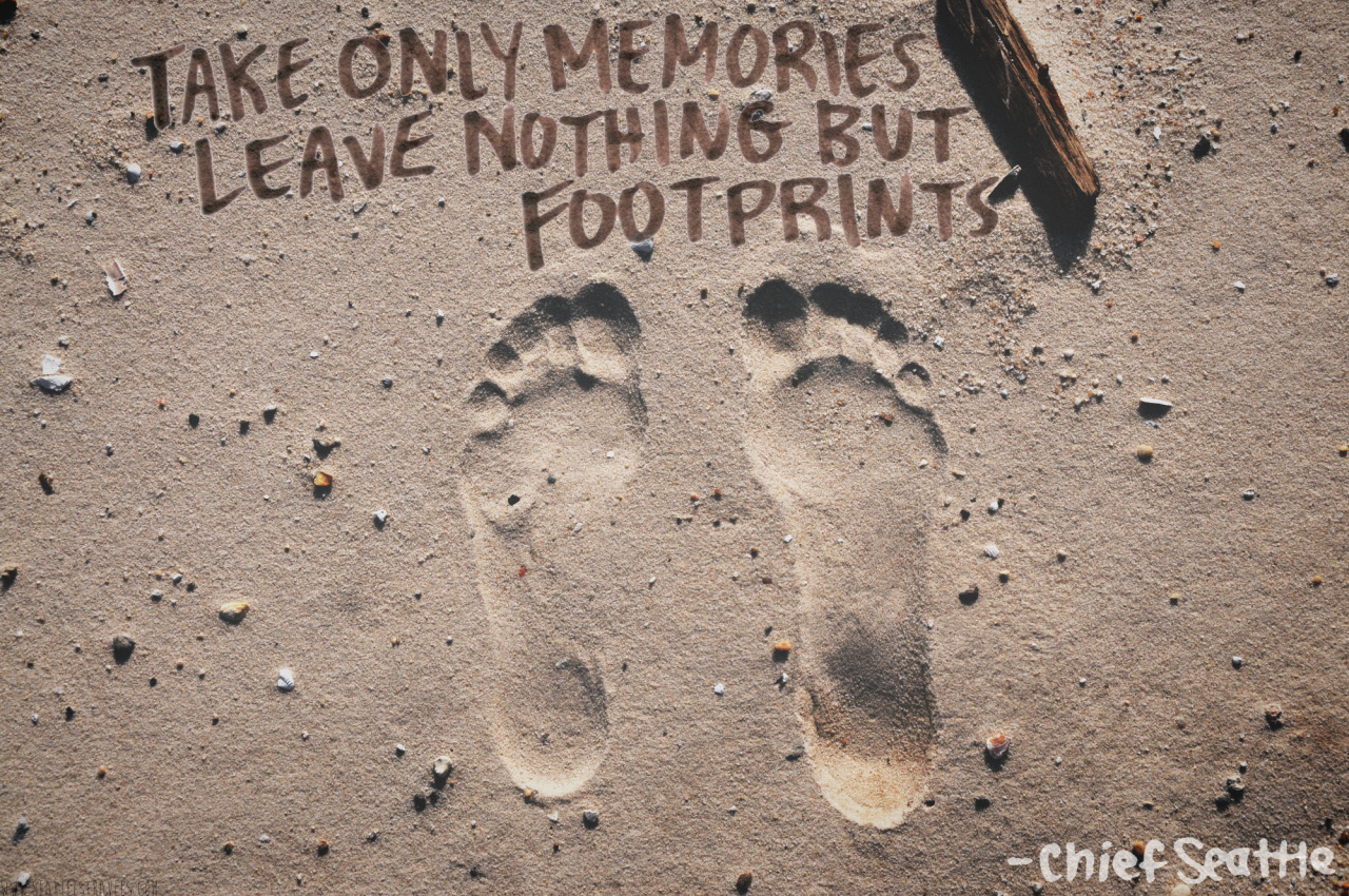 Leaving footprints. Nothing but Memories. Your leaving footprints. Leaving no footprint: Pack.