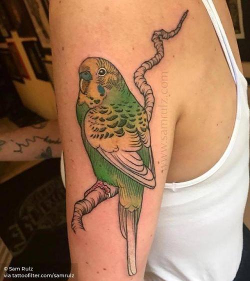 By Sam Rulz, done at Vienna Electric Tattoo, Vienna.... big;animal;tricep;bird;samrulz;facebook;budgerigar;twitter;illustrative;upper arm