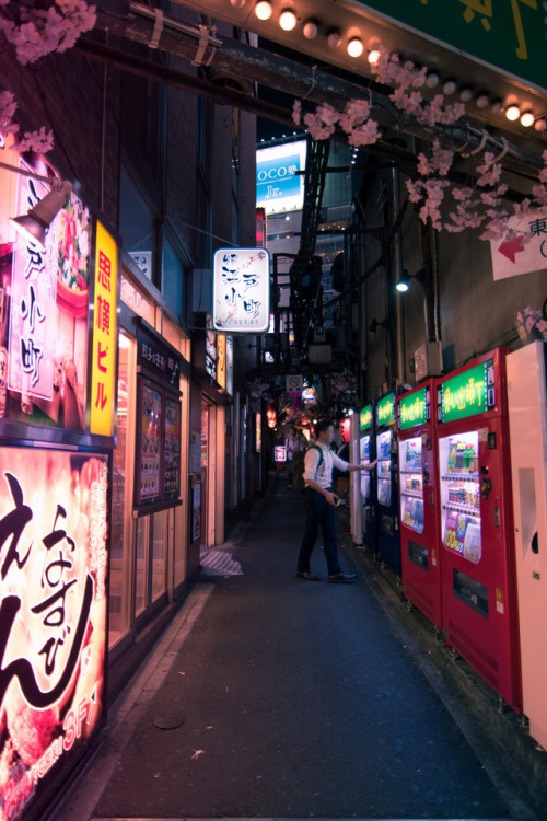 inefekt69:Omoide Yokocho in Shinjuku - Tokyo, Japan