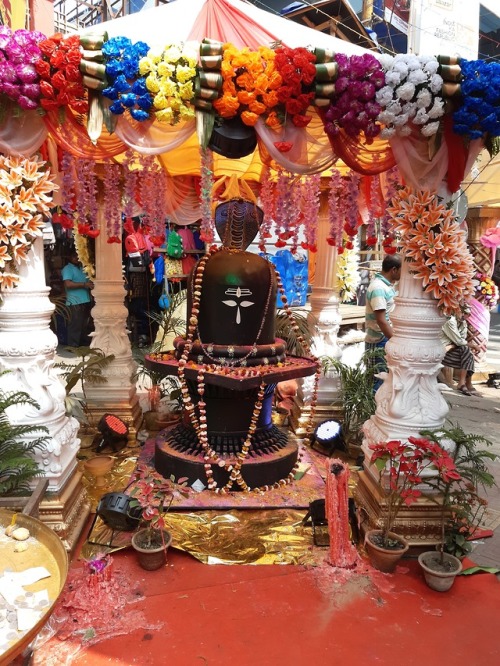 devashishbchatterjea