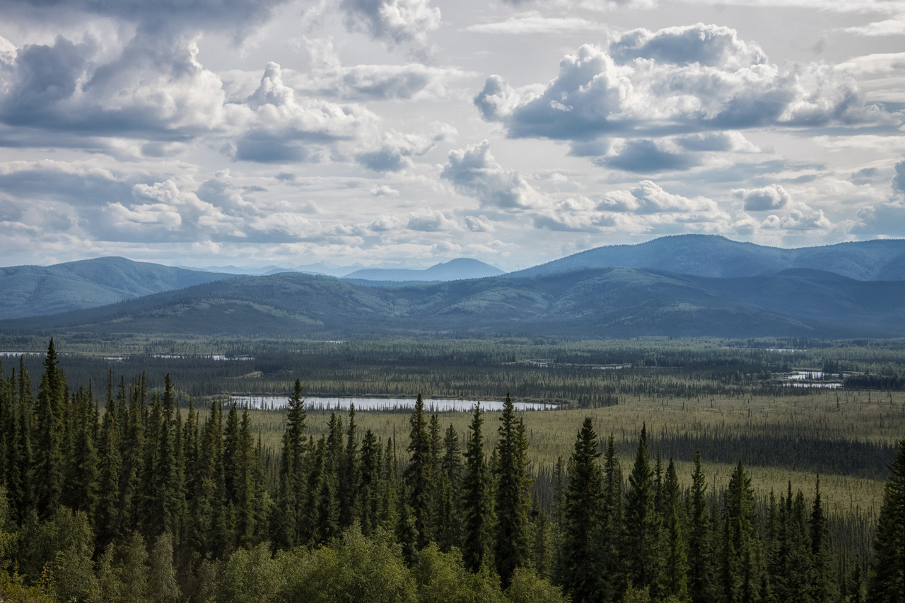 NULL — 90377: Taiga, tundra, mountains by Frostnip