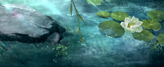 tumblr_pe08wvbK1m1vgzd4so1_r1_540.gifv