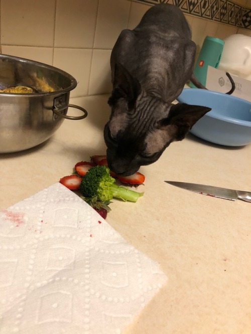 brookietf:fuckingfreezerpops:A THIEF!BROCCOLI GOBLIN