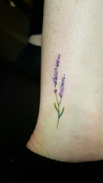 90 Free Download Simple Tattoo Lavender HD Tattoo Images