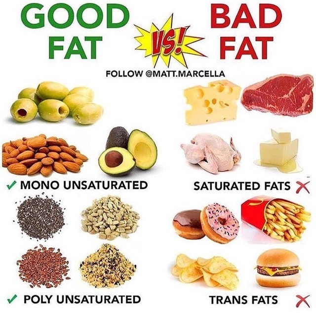 getting-your-fats-from-good-sources-as-opposed-to-food-and-fitness