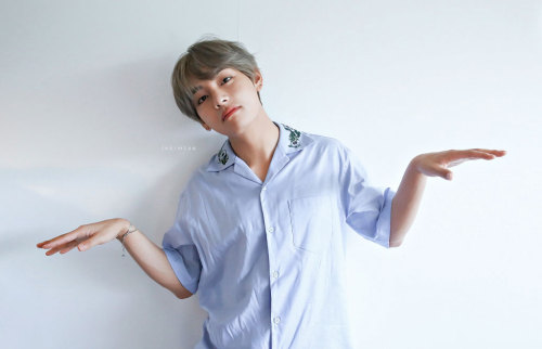 lnkimtae