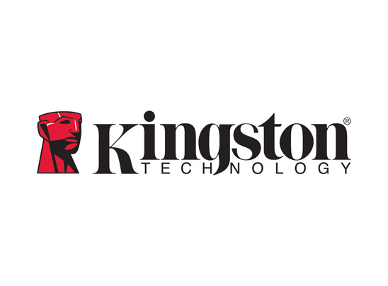 Kingston celebra el 1 de mayo junto a su equipo humano: el activo más importante para su crecimiento