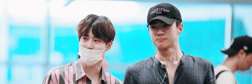 exolqicons