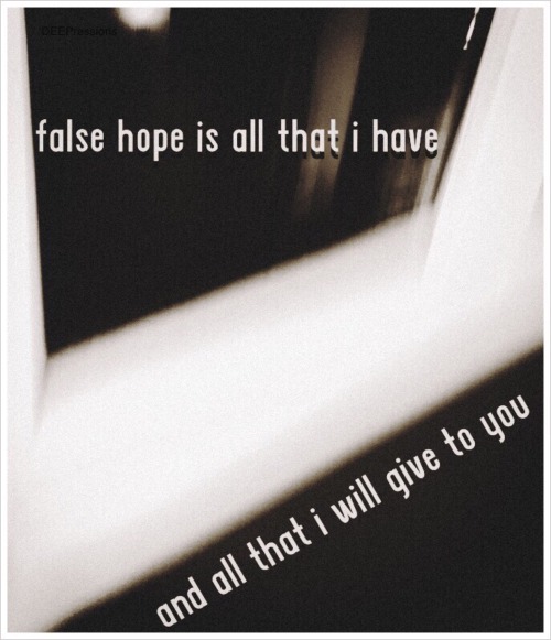 False hope is all that I have, and all that I will give to you.