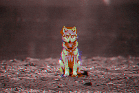 wolf lobo doubletap lsd tmd alucination
