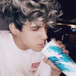 Michael mike mancari mike icons icons sem pds like reblog icons pressplay random twitter icons site model