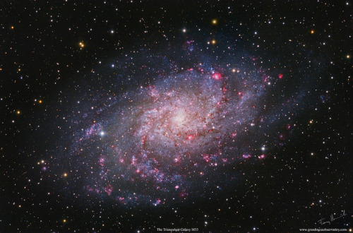 spacettf:The Triangulum Galaxy M33 by Terry Hancock...