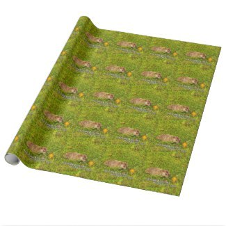 Groundhog Day tidings to you! wrapping paper