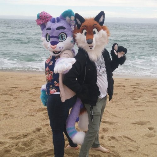 Meulin and Commie at the beach!