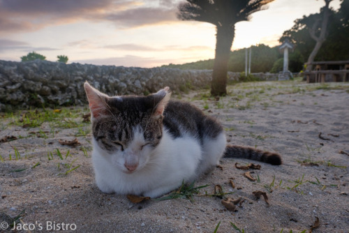 I like you… I’ve witnessed an old man kicking a beach...