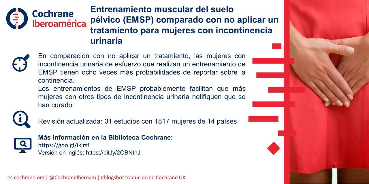 pélvico en español