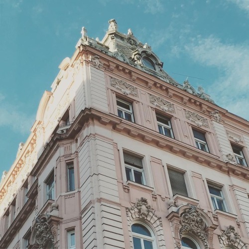 andantegrazioso:Budapest Pink | katylawrence