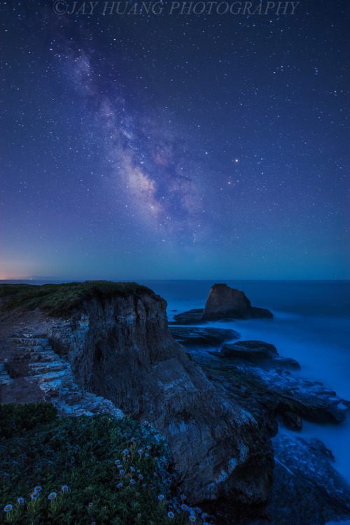 landscape landscapes astrophotography stars milky way beach california wildflowers coast blue night photography up cc photo