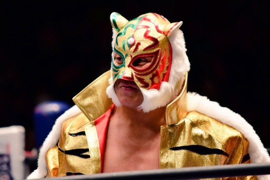 Resultado de imagem para tiger mask iv