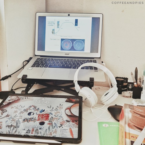 coffeeandpies