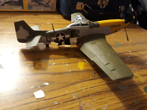 garrandheyford:The finished product. Lou IV, 361st FG, 357th...