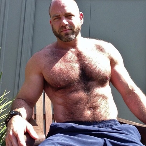 hairy chest - sexy muscle - mature men