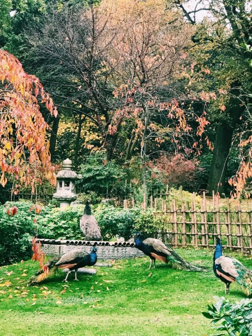 newyorkexplorer:Holland Park