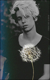 Dieter Carrow