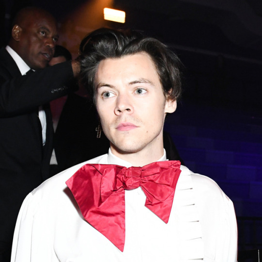 harry styles camp outfit