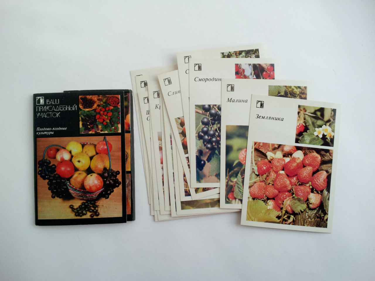 Full set of 18 vintage postcards with pictures of fruit and berries: strawberry, raspberry, cherry, apple, pear, plum, grapes, black currants etc. Published in 1986. (buy on etsy)