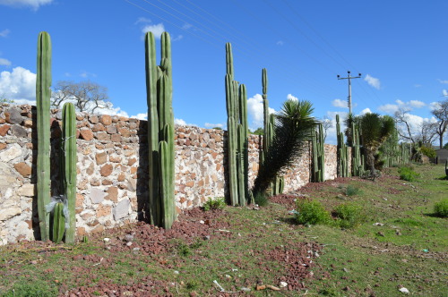 hugosc:Ex-hacienda la Pendencia desde 1621 y fabrica de Mezcal...