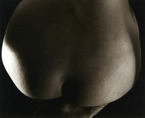 almavio:Don Bulucos (1939 - 2015)  Female Nude