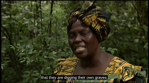 bougainvillieas:Taking Root: The Vision of Wangari Maathai....