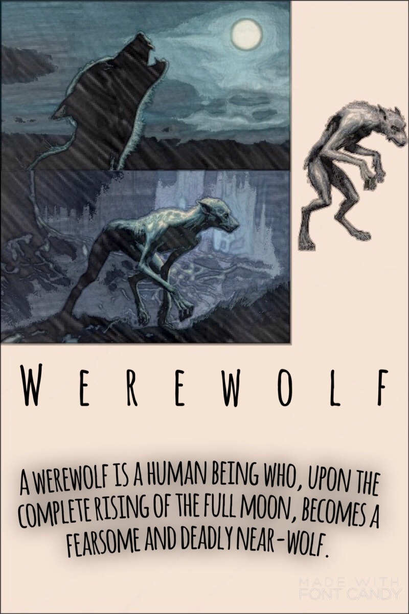 once upon a time wolf forms