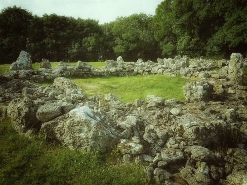 thesilicontribesman:Din Lligwy Romano-Celtic Settlement,...