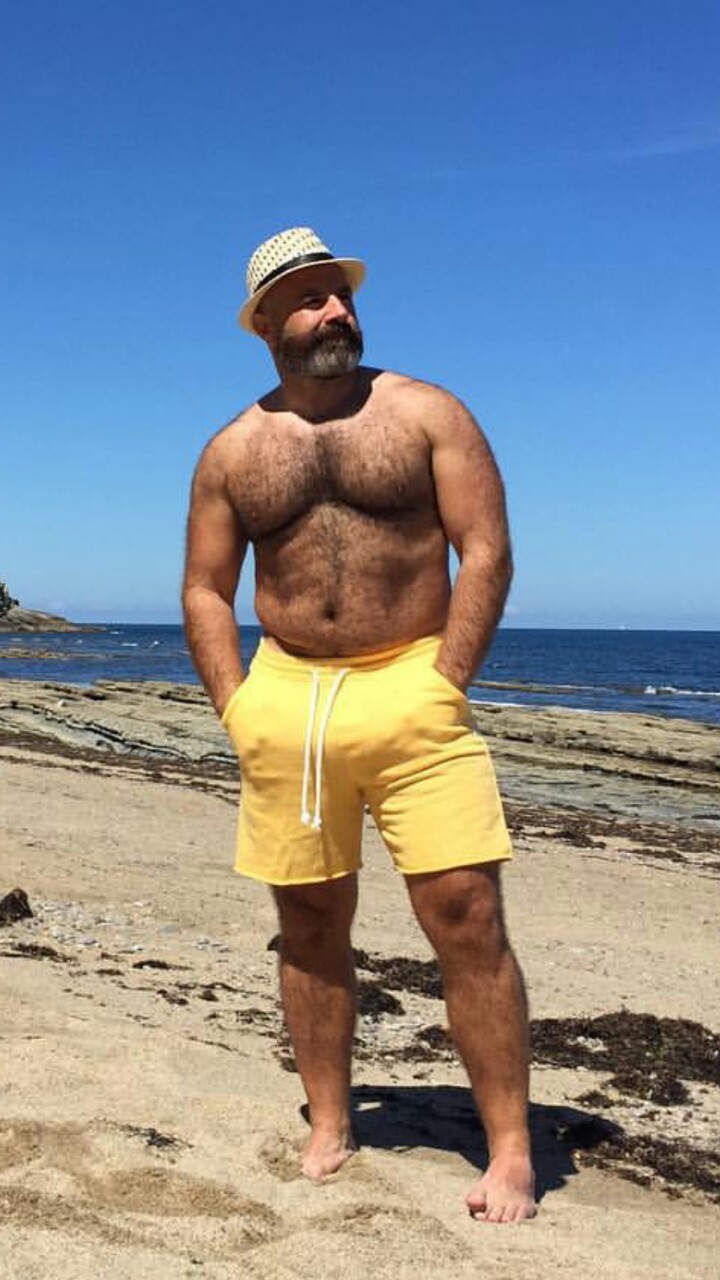 Beach Bear Porn - Bear on the Beach