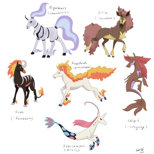 Rapidash Variants Tumblr