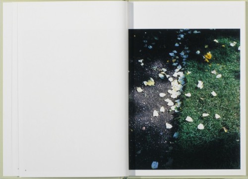 vjeranski:In Our Nature. Photographs by Takashi Hommavia