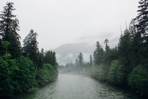 willvastine:North Cascades National Park // ...