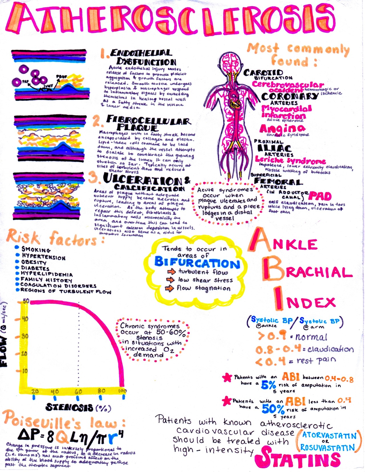 hanson's anatomy — Atherosclerosis!