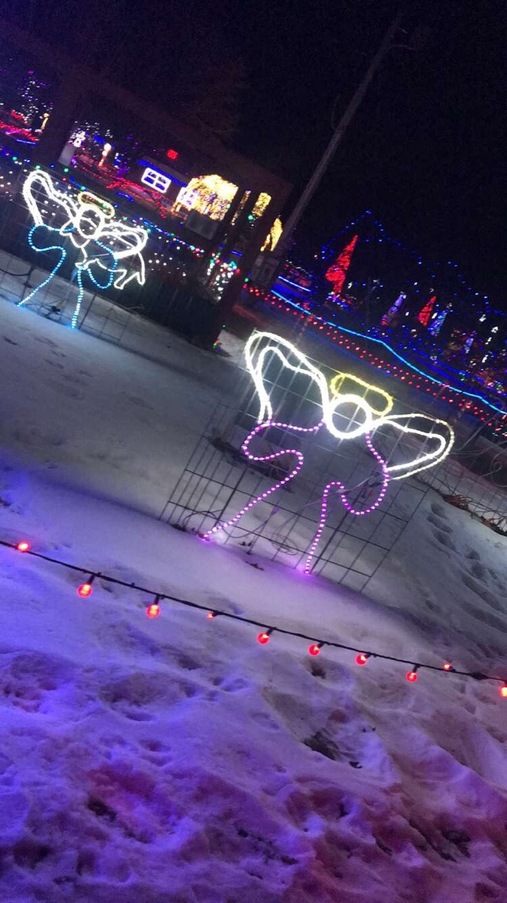 Beauty In Wisconsin — Marshfield zoo Christmas lights. Marshfield...
