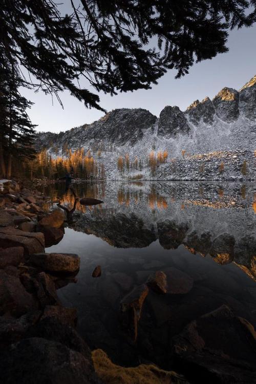 amazinglybeautifulphotography:Fiery reflections of golden...