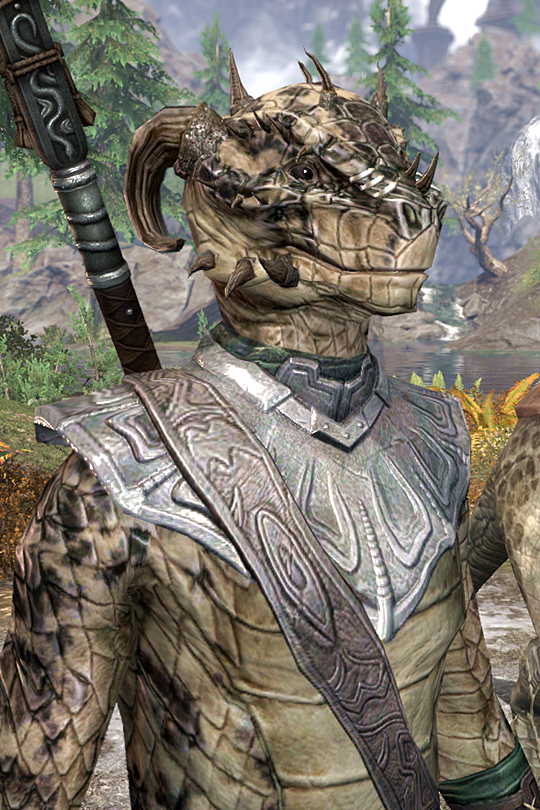 argonian acquired | Tumblr