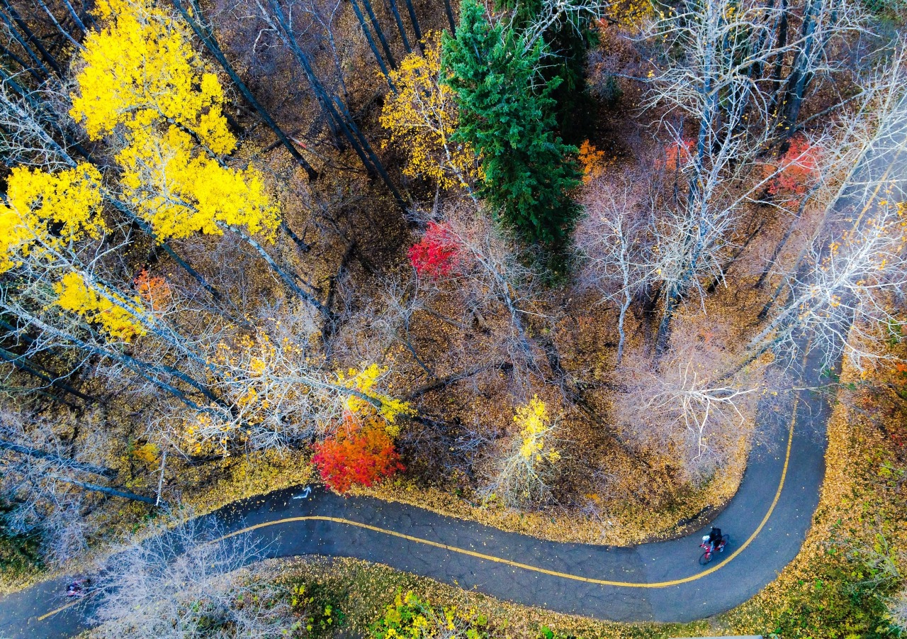 hashtag-challenge-fallfoliage-autumn-is-editors-spotlight-national-geographic-your-shot