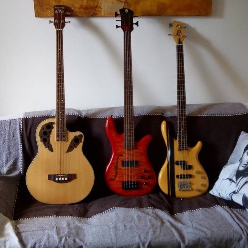 Bass family.Cada um com um sotaque específico. (em Itu, Sao...